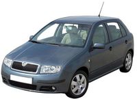 pièces détachées de carrosserie pour SKODA FABIA (1) PHASE 2 DE 08/2004 A 09/2007