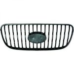 GRILLE DE CALANDRE , CHROMEE/NOIRE , SANS MOTIF